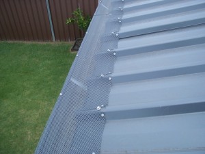 Gumleaf Gutter Protection on a Clip Lock Roof